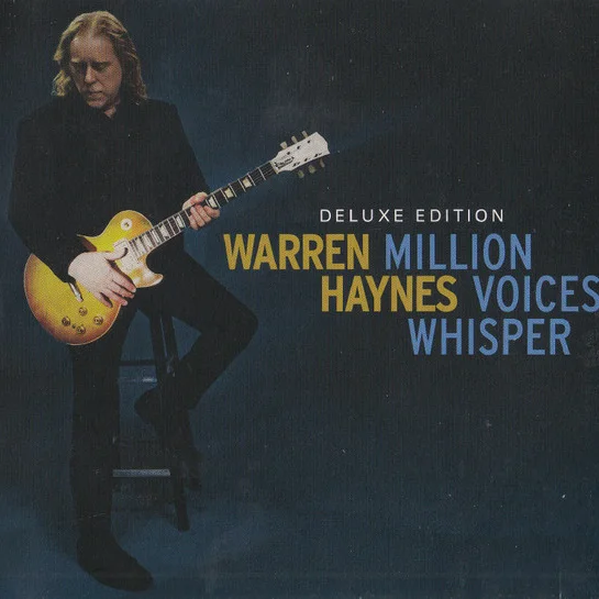 Cover of Million Voices Whisper