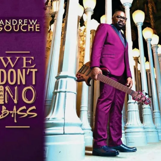 Cover of We Don't Need No Bass
