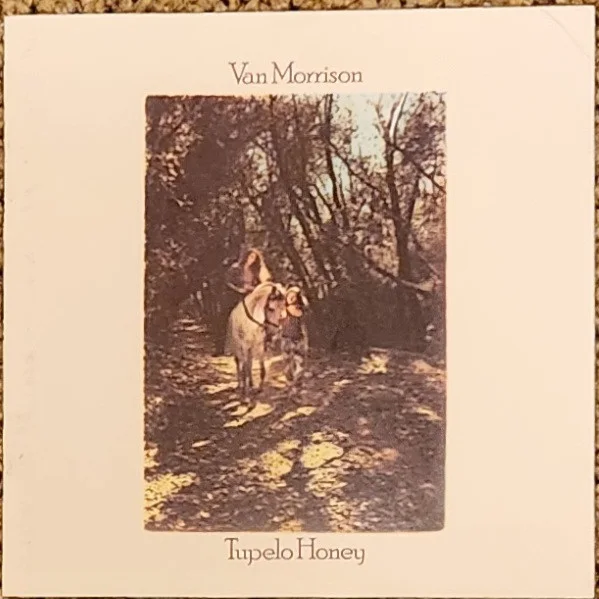 Cover of Tupelo Honey