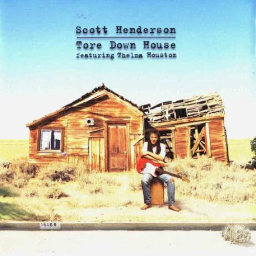 Cover of Tore Down House