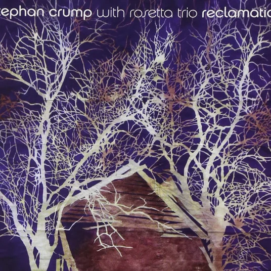Cover of Reclamation