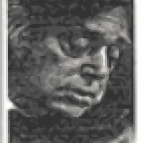Max Pollikoff