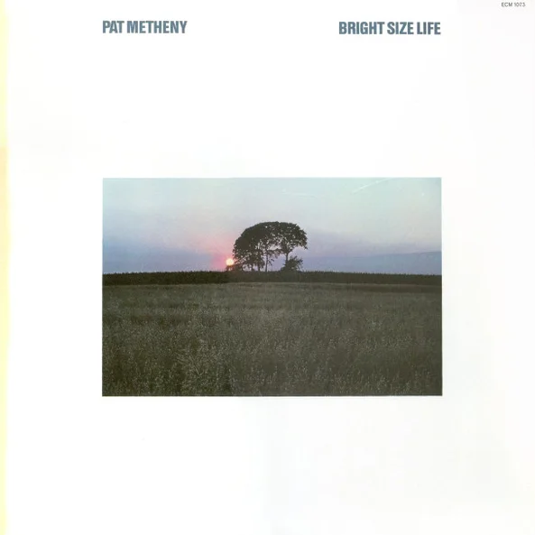 Cover of Bright Size Life