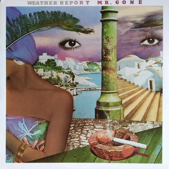 Cover of Mr. Gone