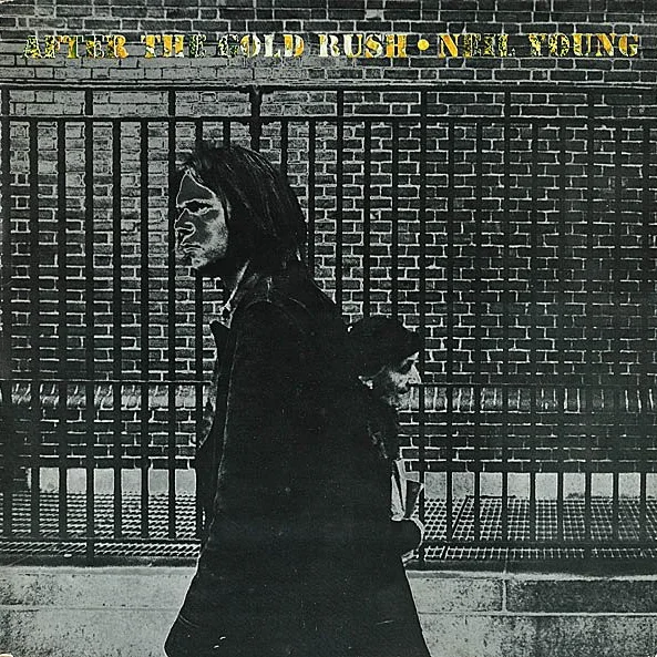 Cover of After The Gold Rush