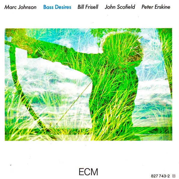 Cover of Bass Desires