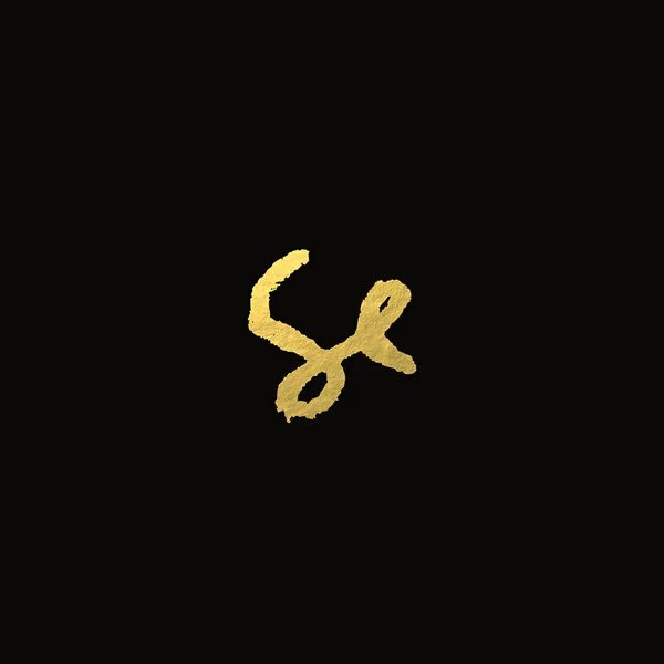Cover of Sylvan Esso