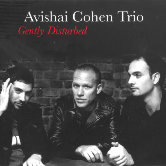 Cover of Gently Disturbed