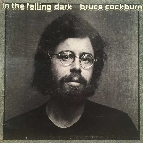 Cover of In The Falling Dark
