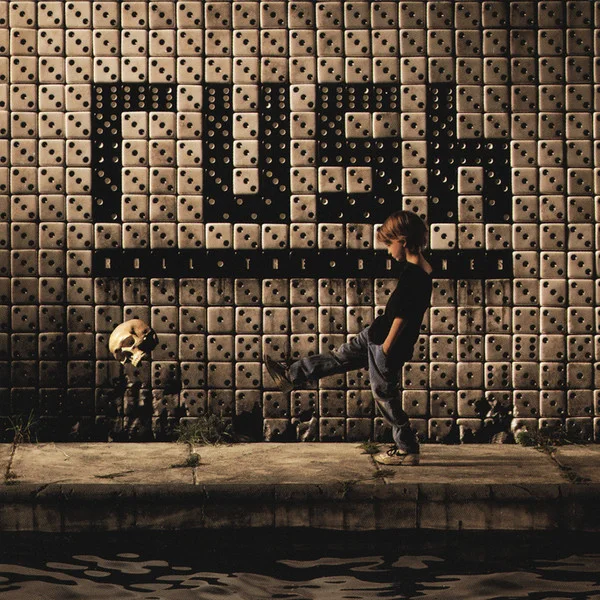 Cover of Roll The Bones