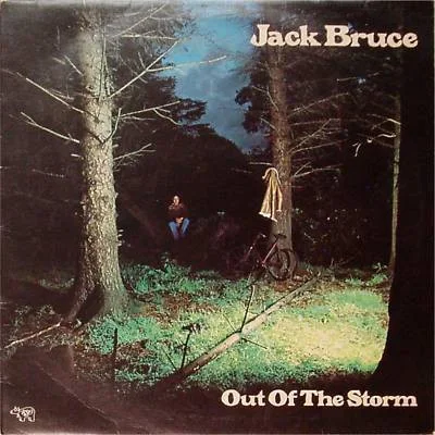 Cover of Out Of The Storm